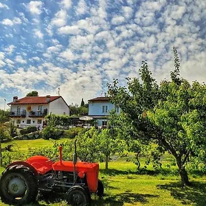 Farm stay 30
